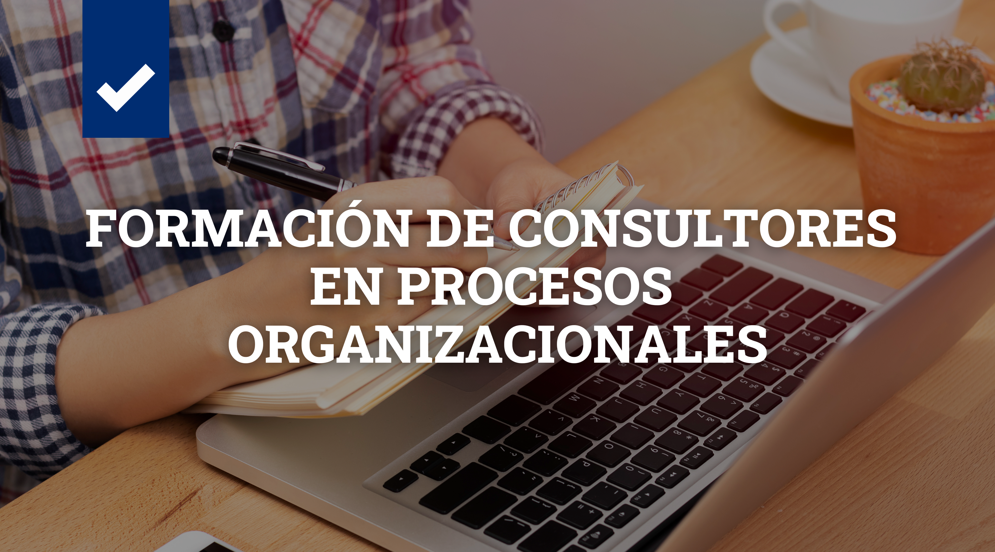 Formación de Consultores en Procesos Organizacionales