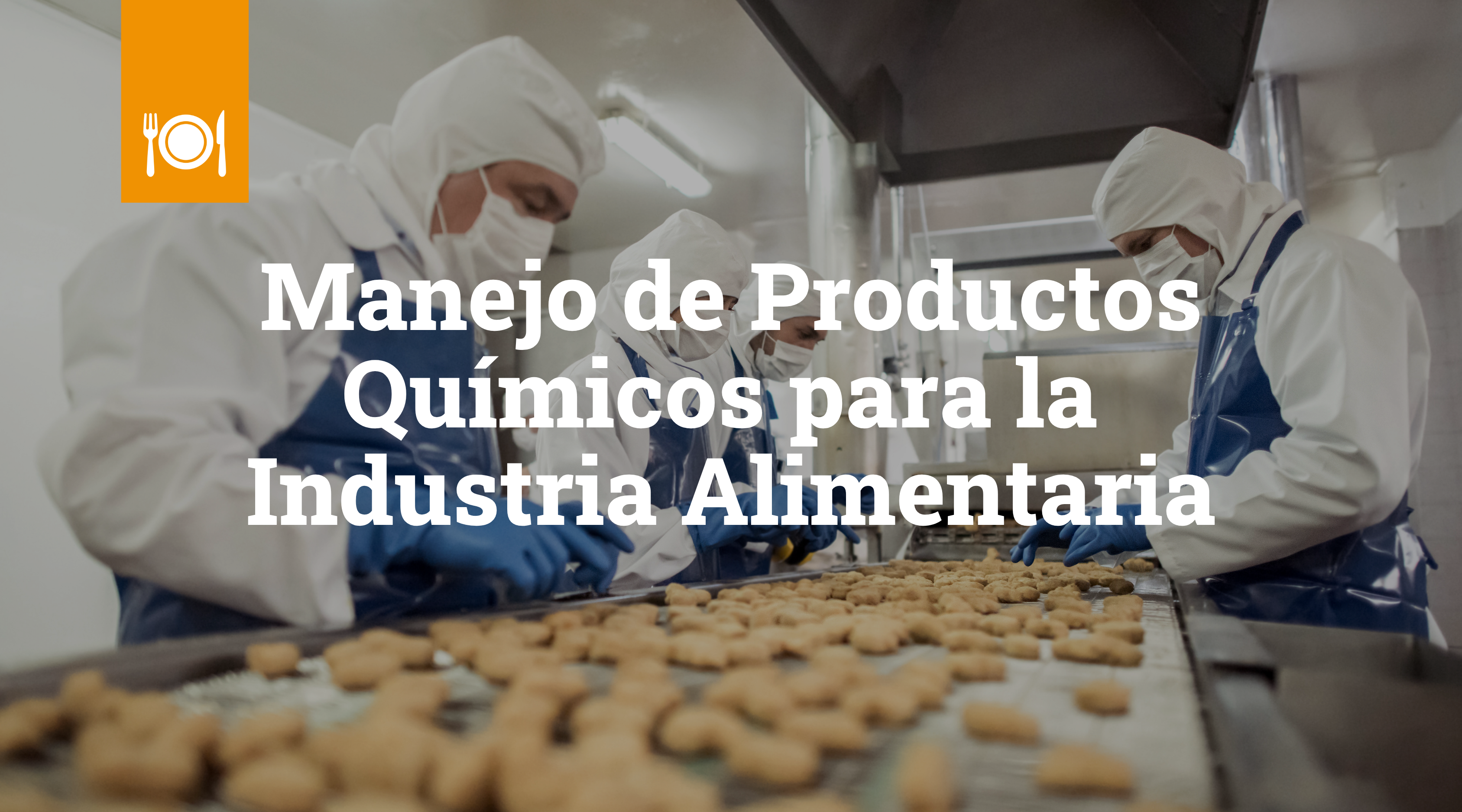 Manejo de Productos Químicos para la Industria Alimentaria 2da edición