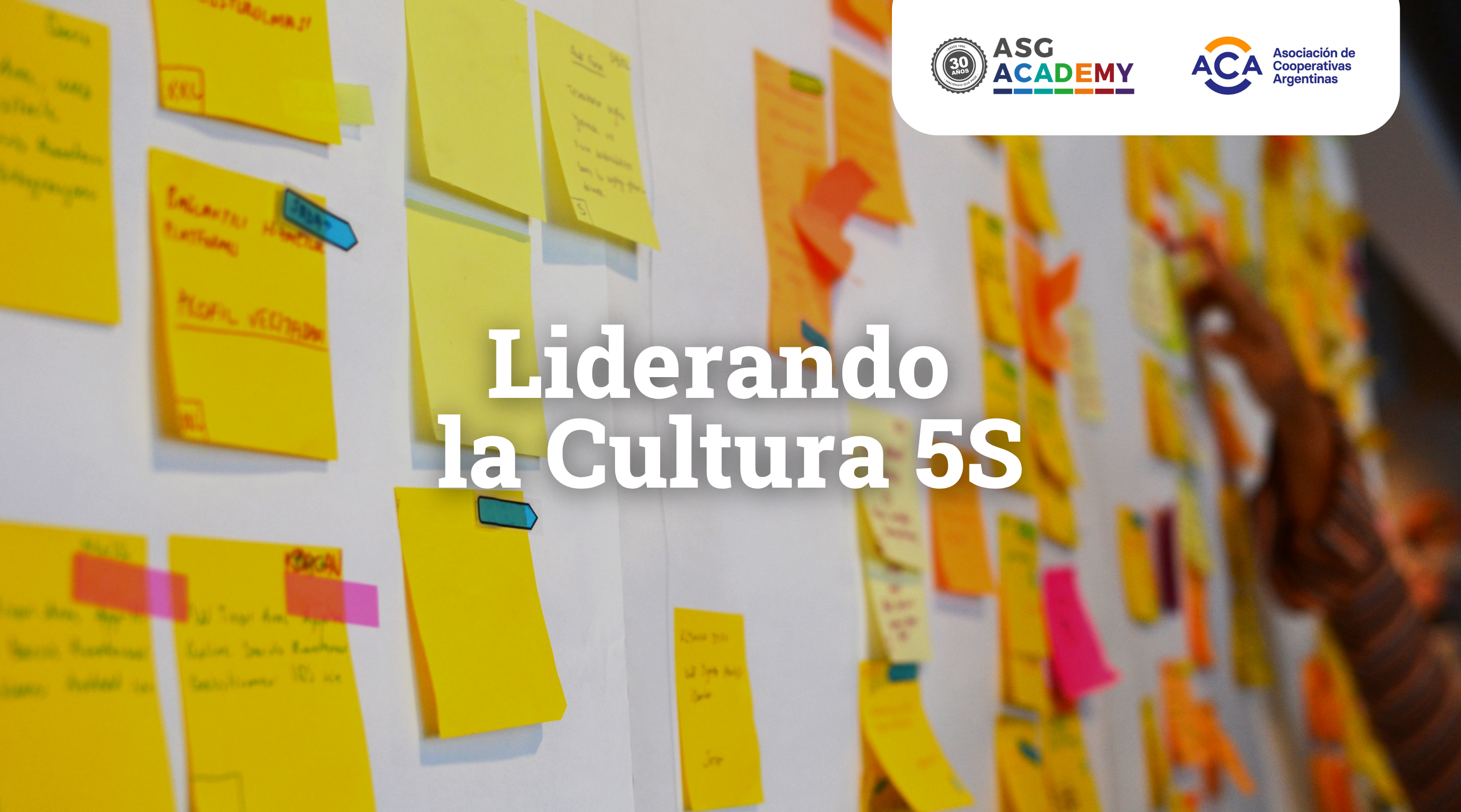 Liderando la Cultura 5S